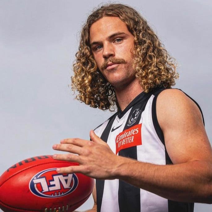 Harry DeMattia Profile image