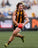 Jai Newcombe